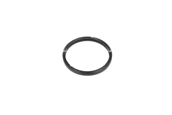 Termostat lichid racire