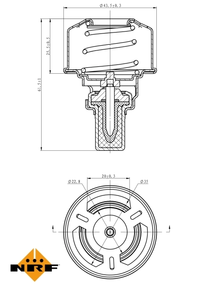 Termostat lichid racire