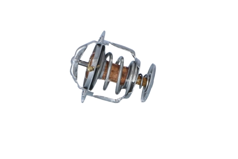 Termostat lichid racire