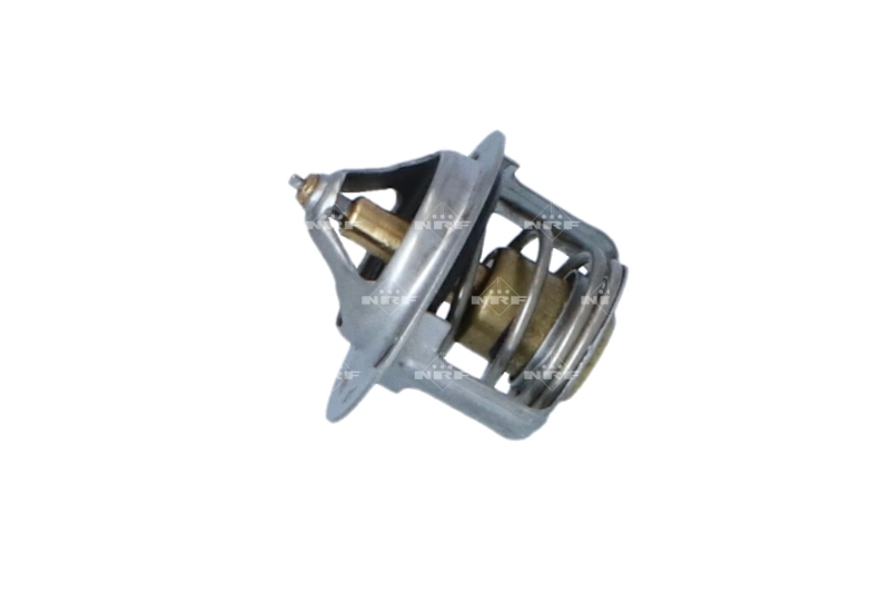 Termostat lichid racire