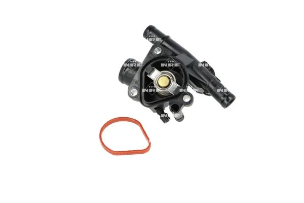 Termostat lichid racire