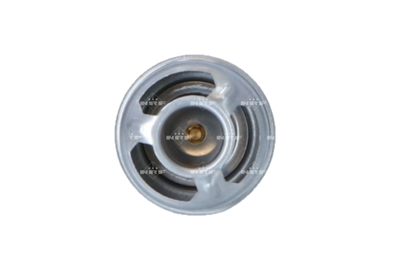 Termostat lichid racire