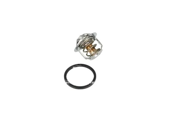 Termostat lichid racire