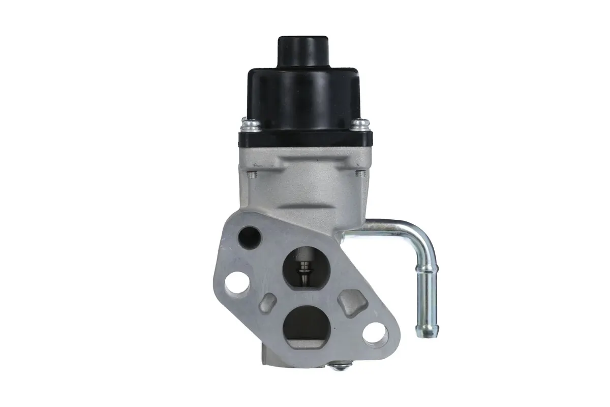 Supapa EGR