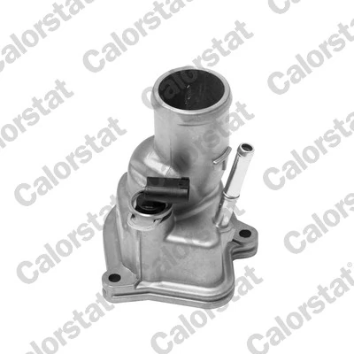 Termostat lichid racire