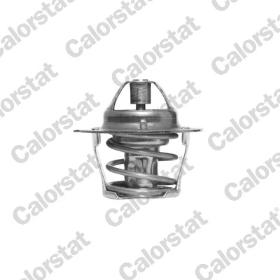Termostat,lichid racire
