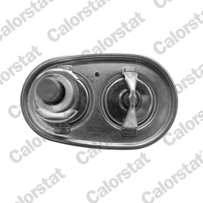 Termostat lichid racire