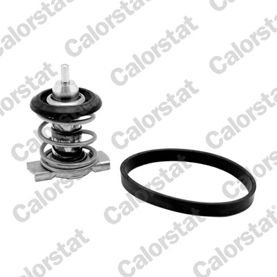 Termostat lichid racire