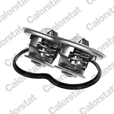 Termostat lichid racire