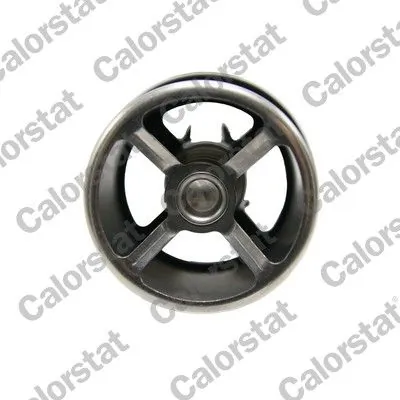 Termostat lichid racire