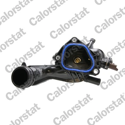 Termostat lichid racire