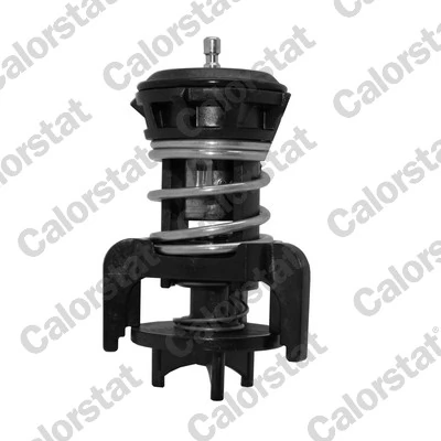 Termostat lichid racire