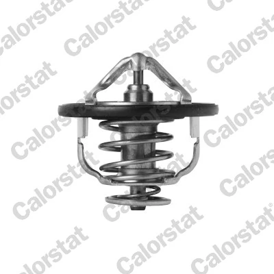 Termostat lichid racire