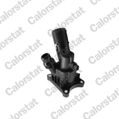 Termostat lichid racire