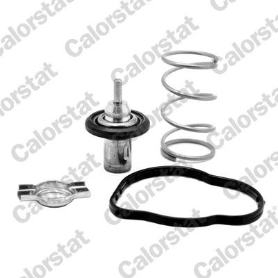 Termostat lichid racire