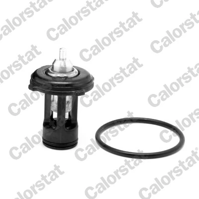 Termostat lichid racire