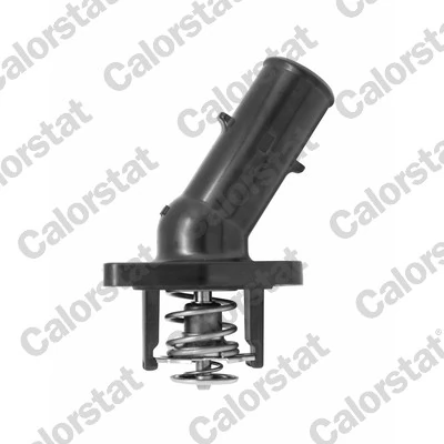 Termostat lichid racire