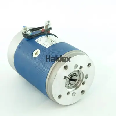 Motor electric