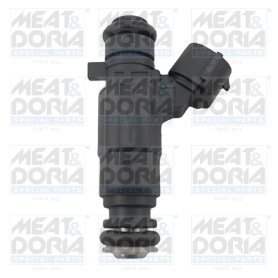 Duza injector