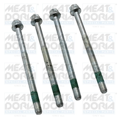 Surub suport injector