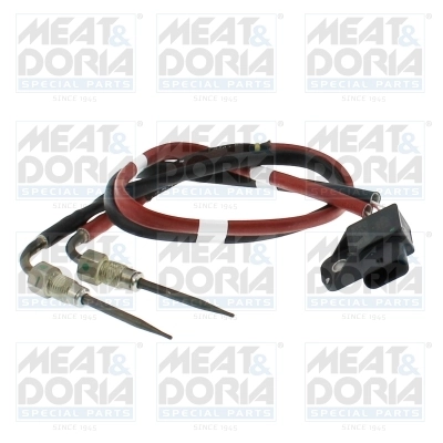 Senzor temperatura gaze evacuare