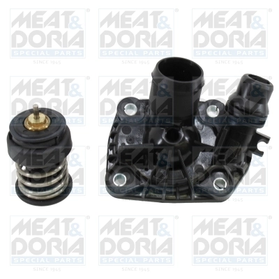 Termostat lichid racire