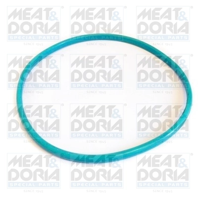 Garnitura capac rezervor