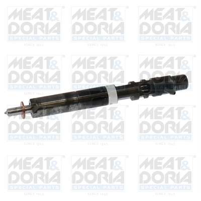 Duza injector