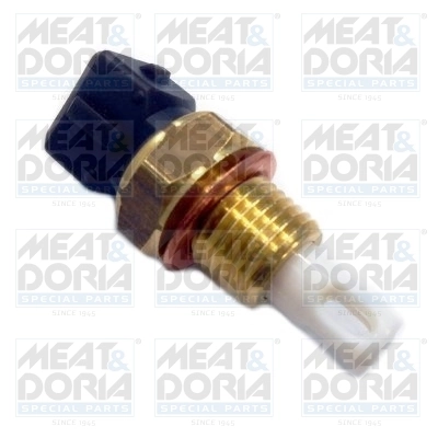 Senzor,temperatura aer admisie