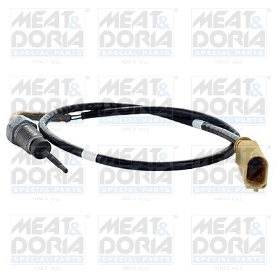Senzor temperatura gaze evacuare