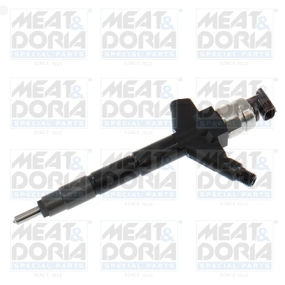 Duza injector
