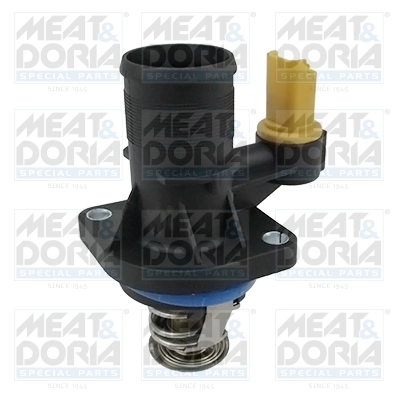 Termostat lichid racire