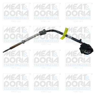 Senzor temperatura gaze evacuare