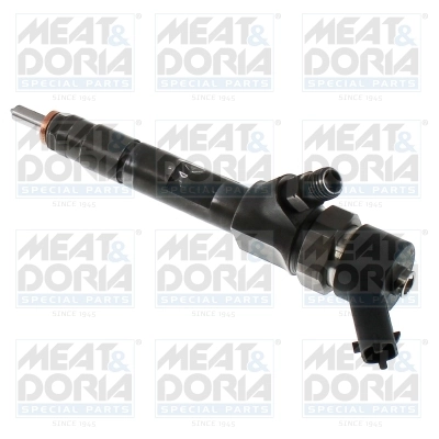 Duza injector