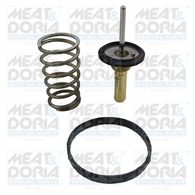 Termostat,lichid racire