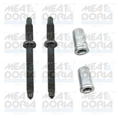 Set reparatie sistem common-rail