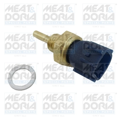 Senzor,temperatura lichid de racire