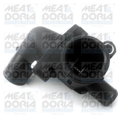 Termostat lichid racire