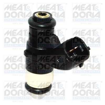 Duza injector