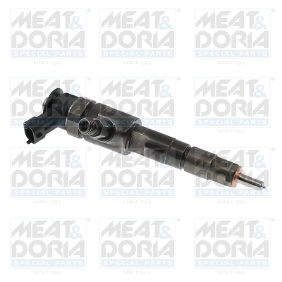 Duza injector