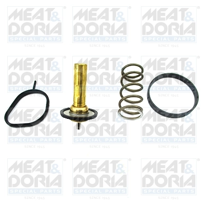 Termostat lichid racire