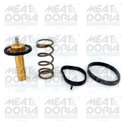 Termostat lichid racire
