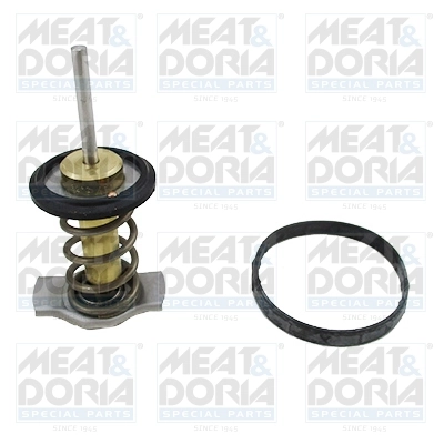 Termostat,lichid racire