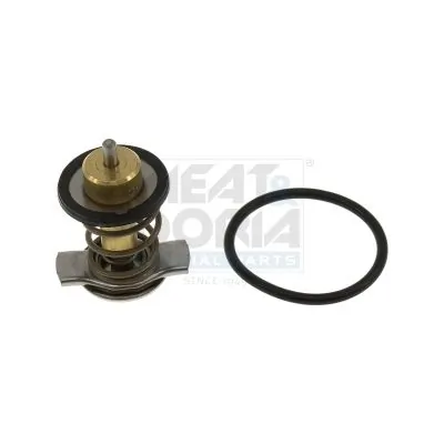 Termostat lichid racire
