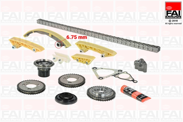 Set distributie lant
