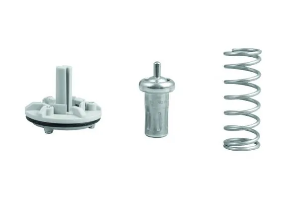 Termostat lichid racire