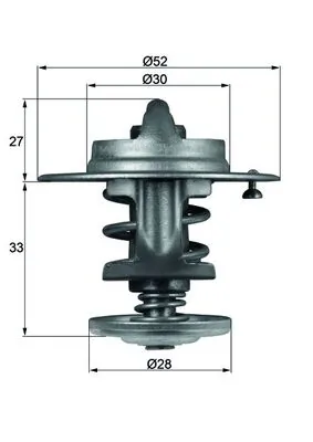 Termostat lichid racire