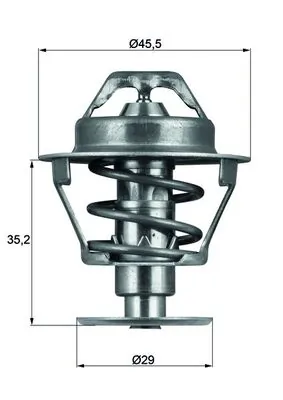Termostat lichid racire