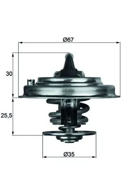 Termostat lichid racire