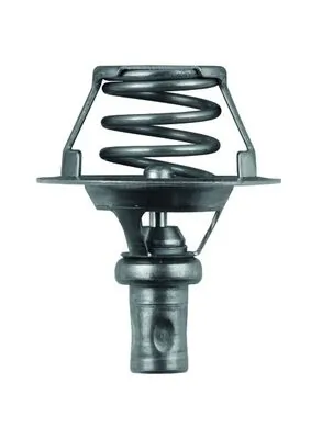 Termostat lichid racire